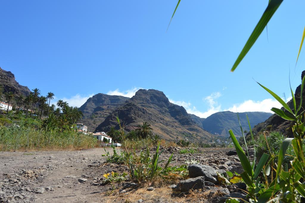 Goyo Gomera Apartments Valle Gran Rey Bagian luar foto