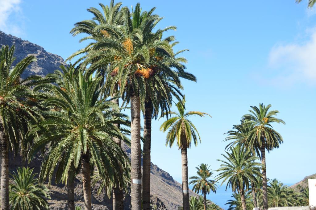 Goyo Gomera Apartments Valle Gran Rey Bagian luar foto