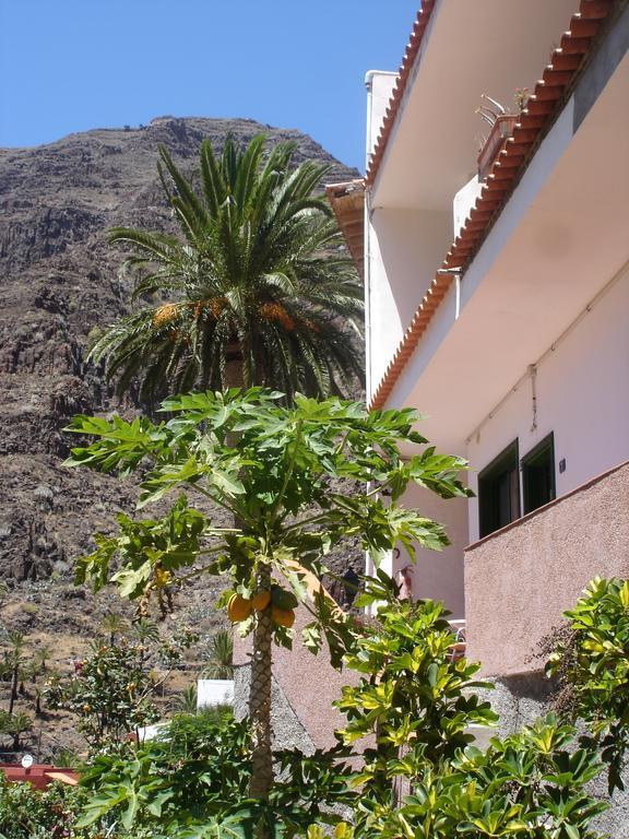 Goyo Gomera Apartments Valle Gran Rey Bagian luar foto
