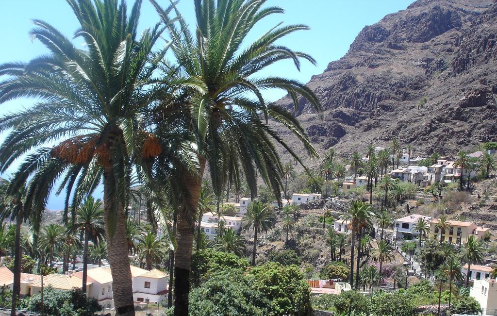Goyo Gomera Apartments Valle Gran Rey Bagian luar foto