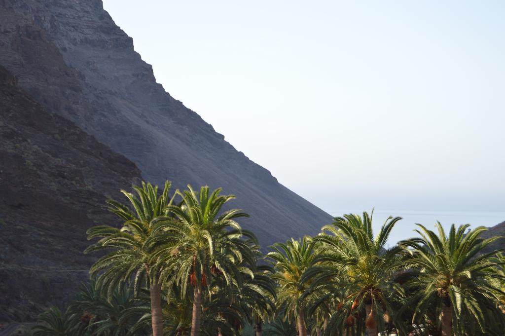 Goyo Gomera Apartments Valle Gran Rey Bagian luar foto