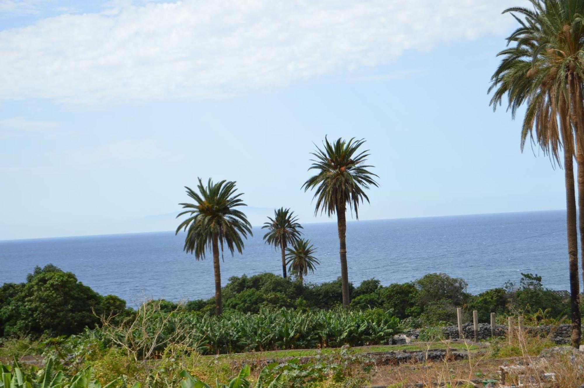 Goyo Gomera Apartments Valle Gran Rey Bagian luar foto