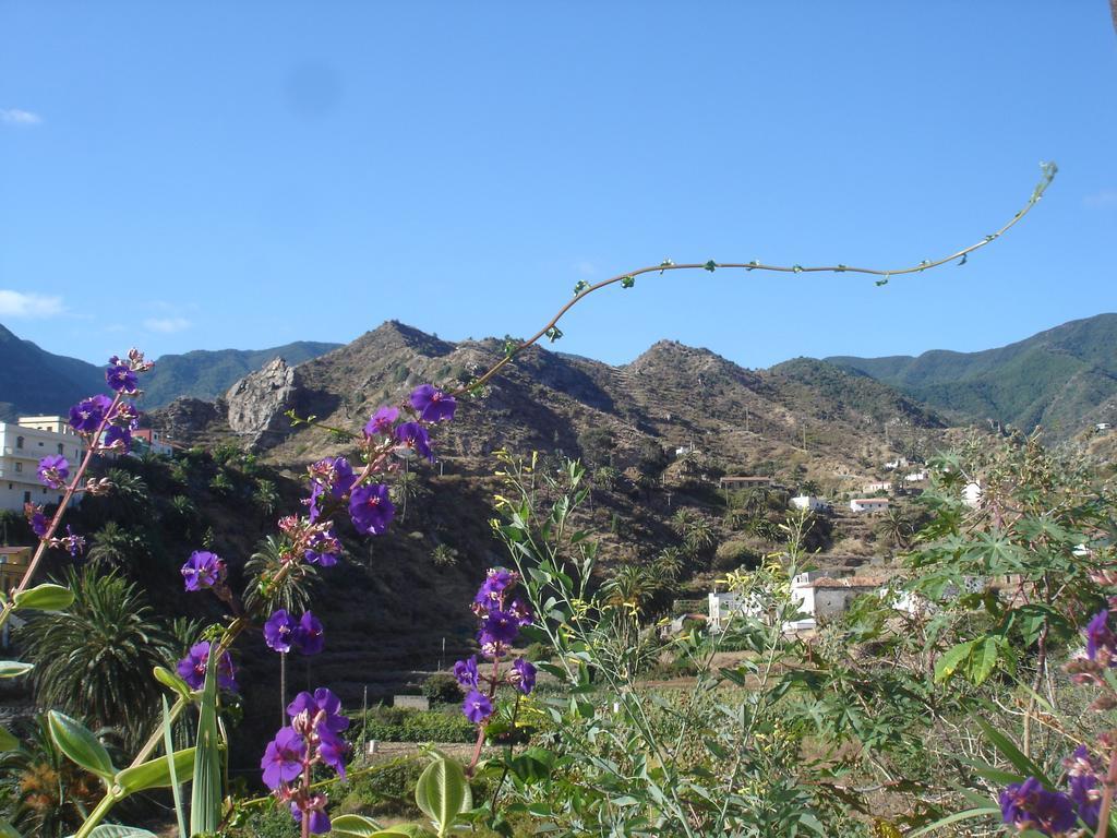 Goyo Gomera Apartments Valle Gran Rey Bagian luar foto