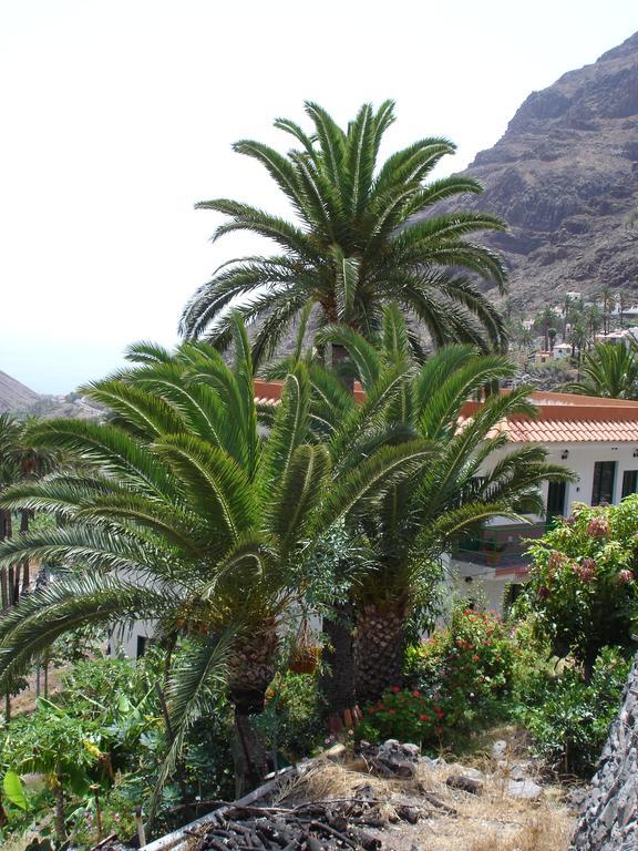 Goyo Gomera Apartments Valle Gran Rey Bagian luar foto