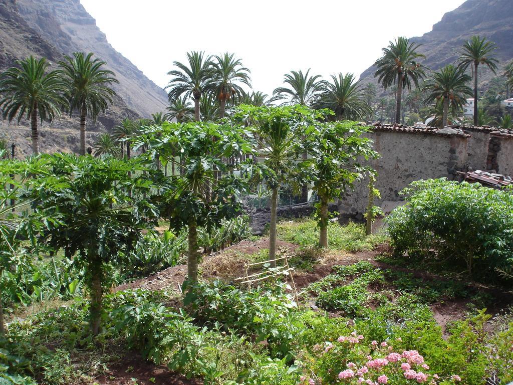 Goyo Gomera Apartments Valle Gran Rey Bagian luar foto