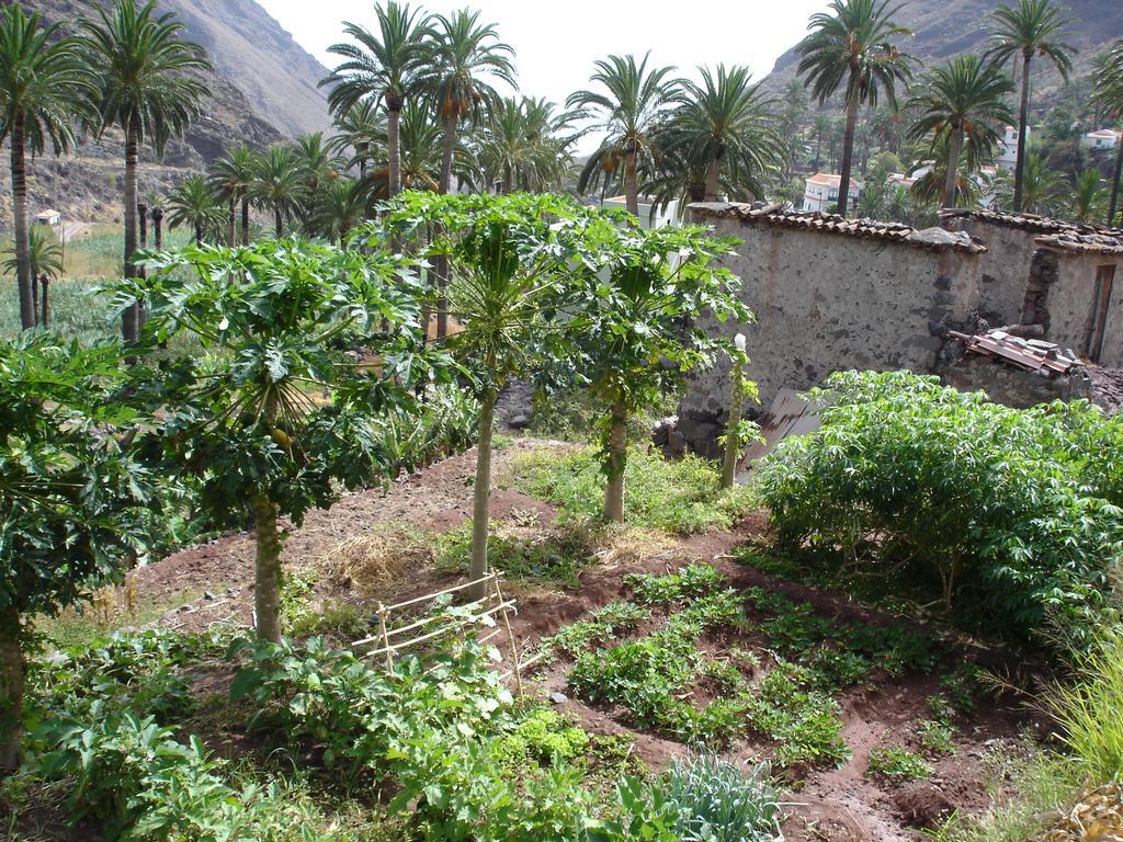 Goyo Gomera Apartments Valle Gran Rey Bagian luar foto
