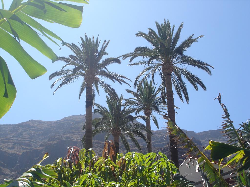Goyo Gomera Apartments Valle Gran Rey Bagian luar foto