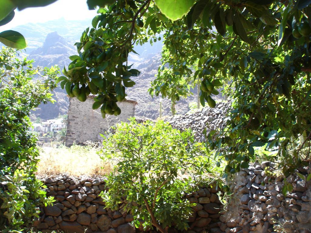 Goyo Gomera Apartments Valle Gran Rey Bagian luar foto