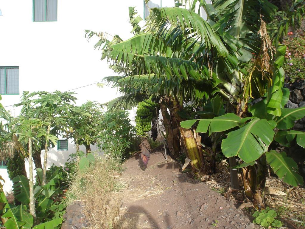Goyo Gomera Apartments Valle Gran Rey Bagian luar foto