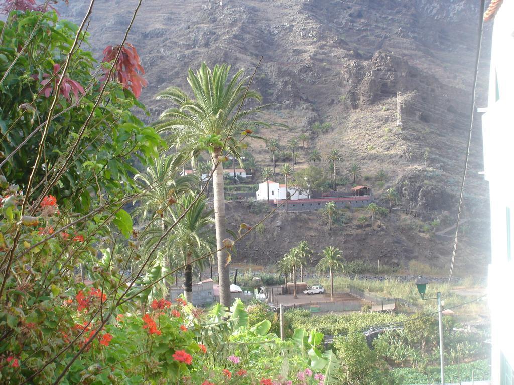 Goyo Gomera Apartments Valle Gran Rey Bagian luar foto