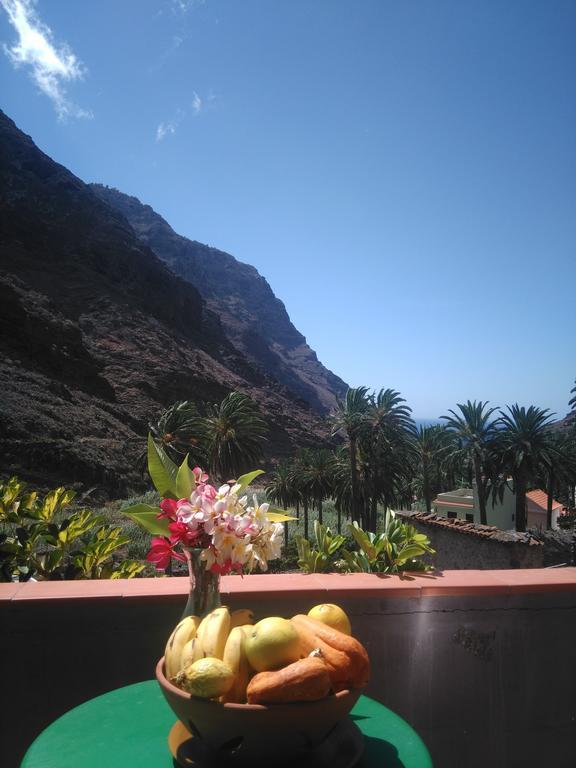 Goyo Gomera Apartments Valle Gran Rey Bagian luar foto